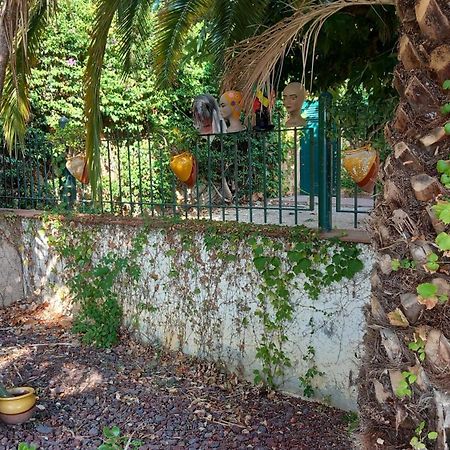 Appartement & Spa - Panoramic Olivars Pau Exteriör bild